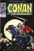 Conan the Barbarian Omnibus HC (2024 Titan Comics) 2nd Edition 8B-1ST