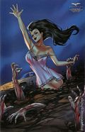 Fairy Tale Team-Up Robyn Hood And Van Helsing (2024 Zenescope) 1J