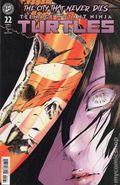 Teenage Mutant Ninja Turtles (2024 IDW) 22RIB