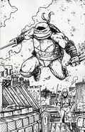 Teenage Mutant Ninja Turtles (2024 IDW) 22RIA