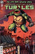 Teenage Mutant Ninja Turtles (2024 IDW) 22B