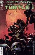 Teenage Mutant Ninja Turtles (2024 IDW) 22C