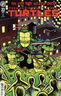 Teenage Mutant Ninja Turtles (2024 IDW) 22D