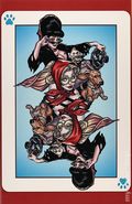 Harley Quinn x Elvira (2025 Dynamite) 6P
