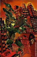Teenage Mutant Ninja Turtles (2024 IDW) 1STASHHHLOOT.D
