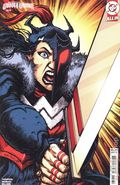 Absolute Wonder Woman (2024 DC) 24C