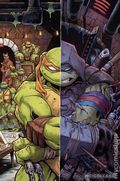 Teenage Mutant Ninja Turtles the Last Ronin the Lost Years (2022 IDW) 5TERRIFICON