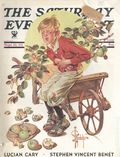 Saturday Evening Post (1821 Curtis Publishing Co.) Magazine Vol. 206 #12