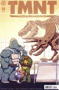 Teenage Mutant Ninja Turtles Journeys (2025 IDW) 14B