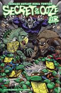 Teenage Mutant Ninja Turtles: Secrets of the Ooze HC (2026 IDW) 35th Anniversary Edition 1-1ST