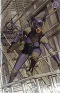 Absolute Catwoman (2026 DC) 2THE616.C