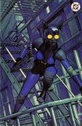 Absolute Catwoman (2026 DC) 2THE616.B