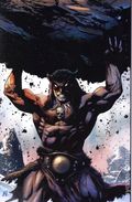 Fire and Ice Darkwolf (2026 Dynamite) 4J