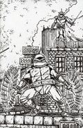 Teenage Mutant Ninja Turtles (2024 IDW) 23RIA