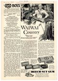 Open Road (1919-1954 Open Road Publishing) Vol. 19 #8