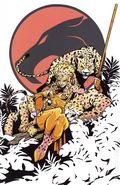 Thundercats Cheetara (2026 Dynamite) 2L