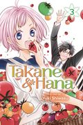 Takane & Hana GN (2018 Viz Media GN) 3-1ST