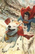 Krypto the Last Dog of Krypton (2025 DC) 3B