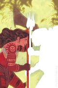 Absolute Wonder Woman (2024 DC) 12A