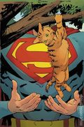 Superman Unlimited (2025 DC) 5D