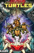 Teenage Mutant Ninja Turtles (2024 IDW) 13B