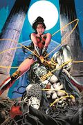 DC K.O. Wonder Woman vs. Lobo (2025 DC) 1E