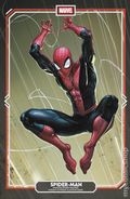 Amazing Spider-Man (2025 8th Series) 20C
