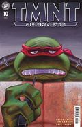 Teenage Mutant Ninja Turtles Journeys (2025 IDW) 10A