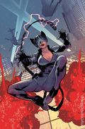 Absolute Catwoman (2026 DC) 3C