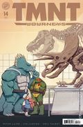 Teenage Mutant Ninja Turtles Journeys (2025 IDW) 14B