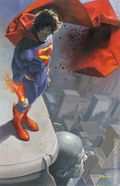 Absolute Superman (2024 DC) 23D