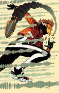 Absolute Flash (2025 DC) 19C