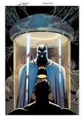 Batman and Robin Year One Dynamic Duos (2026 DC) 2E