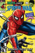Spider-Man Hulk Fire and Brimstone (2026 Marvel) 1H