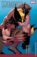 Wolverine (2024 Marvel) 25C