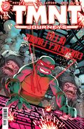 Teenage Mutant Ninja Turtles Journeys (2025 IDW) 13B