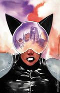 Absolute Catwoman (2026 DC) 4C