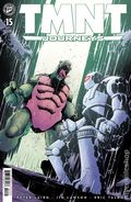 Teenage Mutant Ninja Turtles Journeys (2025 IDW) 15B